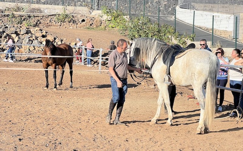 Instructor guiando caballo con grupo de visitantes en NA Stablos, Arona Sur