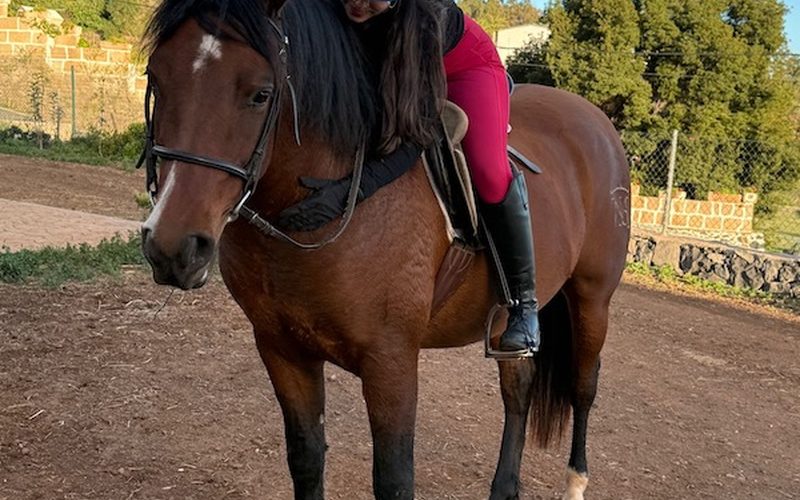 Persona joven montando a caballo en las instalaciones de Riendas de Esperanza