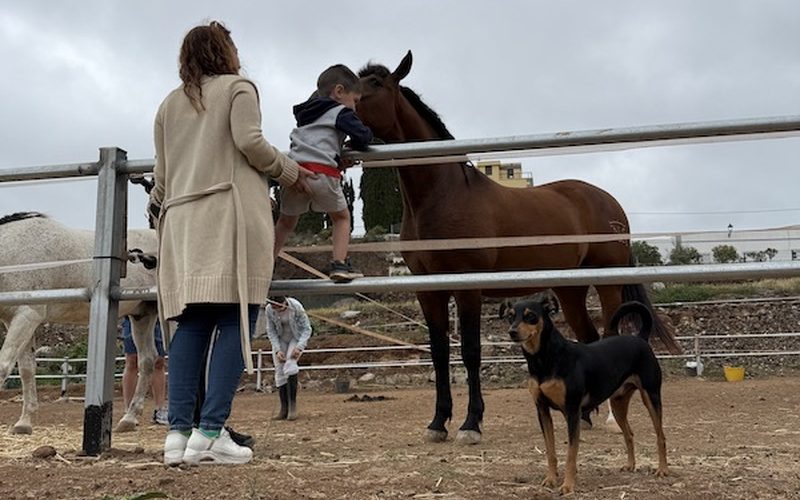 Familia y niño interactuando con un caballo en NA Stablos, Arona